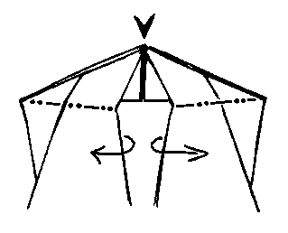 unfold, leaving crease - making Delty aeroplane