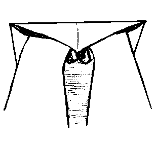 unfold, leaving crease - making Delty aeroplane