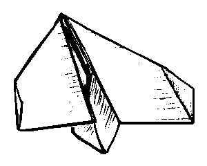 Picture of finished Zump paper airplane